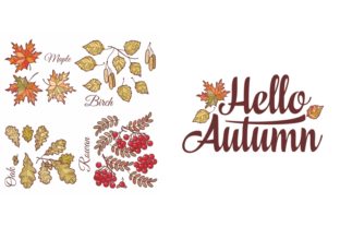 Hello Autumn. Autumn Leaves Set
