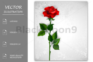 Red Rose Symbol of Love