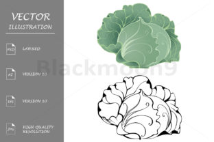 Stylized Cabbage: A Creative and Practical Resource for Designers and Artists