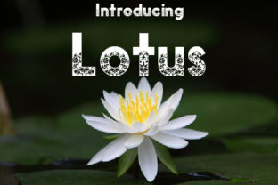 The Lotus: A Typeface That Blooms Beyond Design