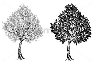 Two Young Contour Trees